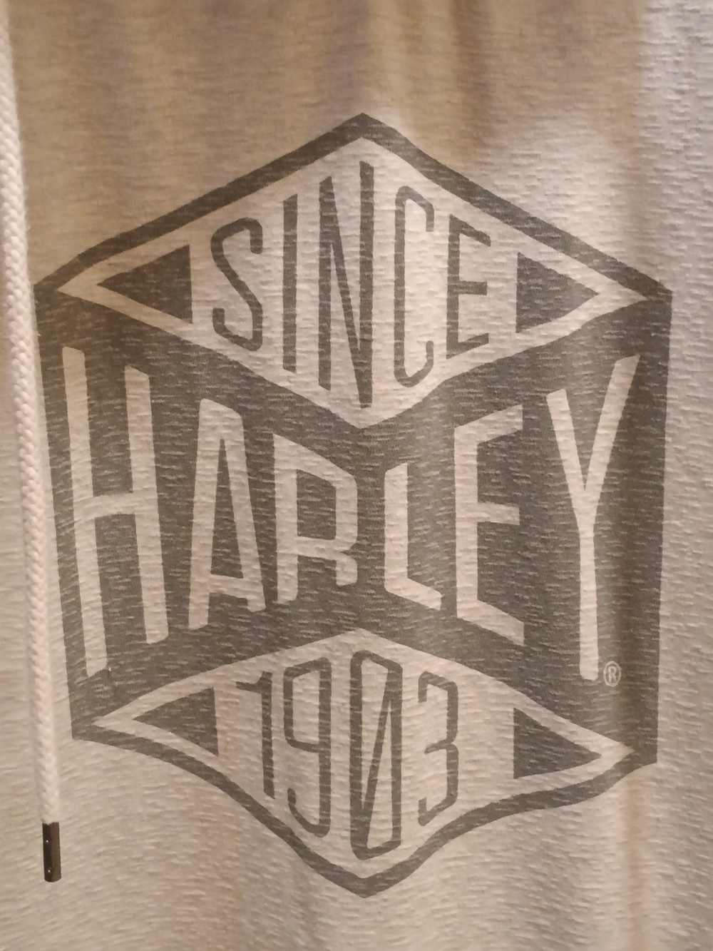 RARE Harley-Davidson Graphic Hoodie - Grey Logo RARE DOUBLE HOODED 🤯🤯
